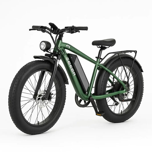 1200W dual motor electric bicycle with 26-inch off-road tires, hydraulic brakes, and robust green frame.