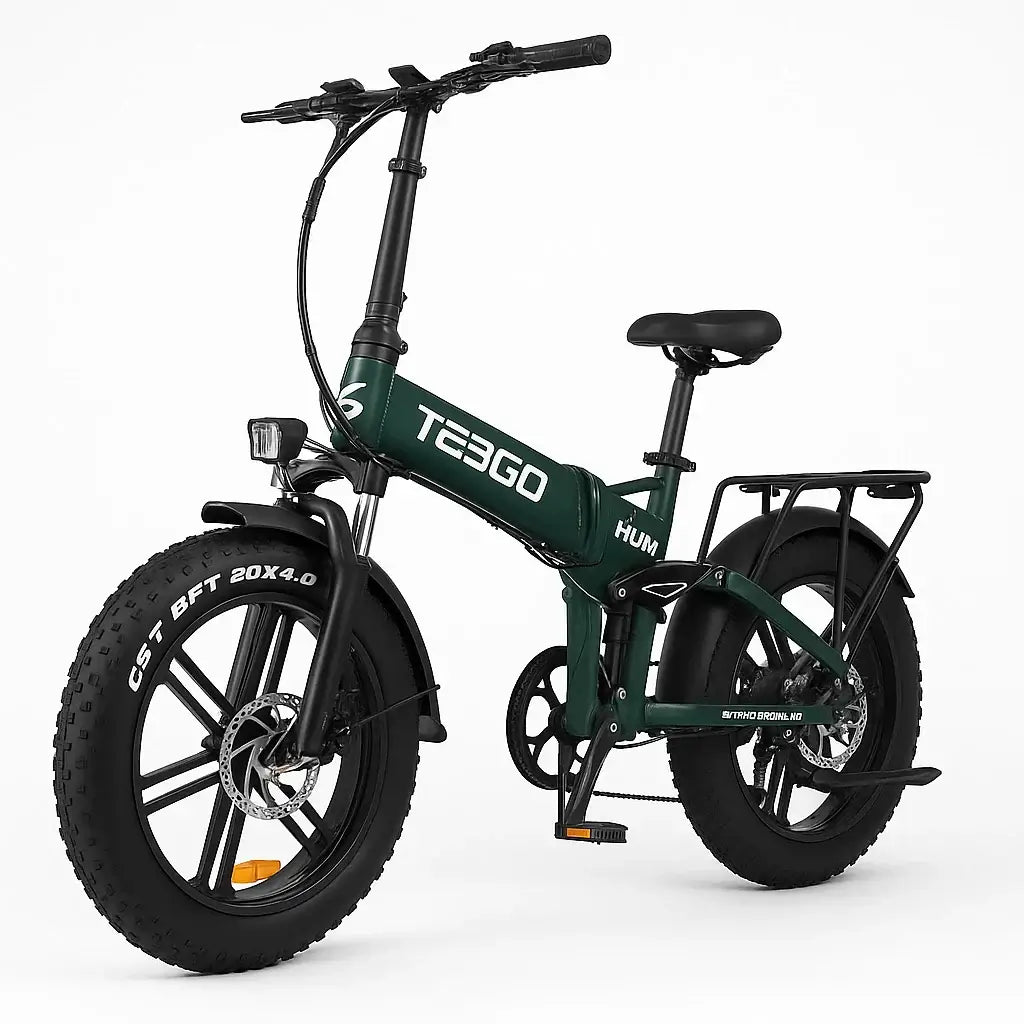 TESGO 1000W Folding Electric Bike with fat tires, ideal for outdoor adventures and commuting.