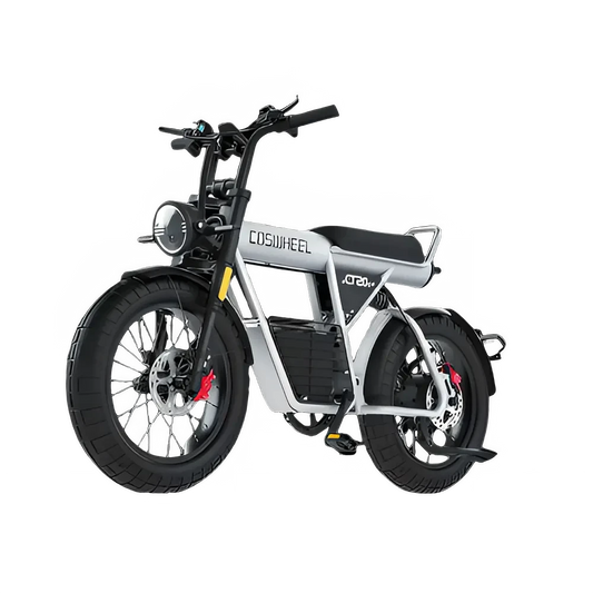 Coswheel Electric Bike CT20S 2000W electric bike with fat tires and modern design