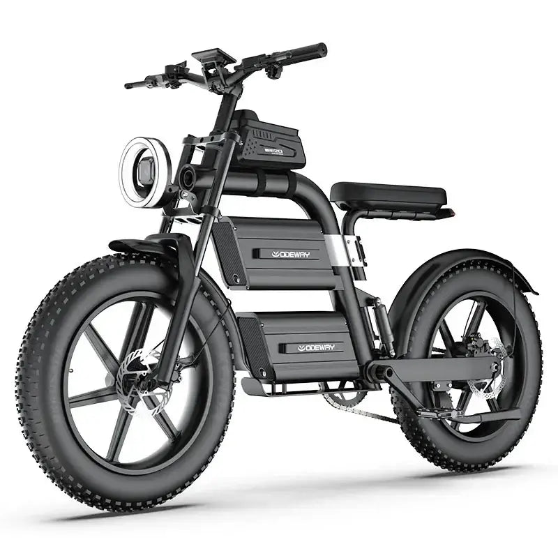 E20 New Design Dual Battery Electric Bike 20 Inch Fat Tire with 2000W motor and fat tires for off-road adventures.