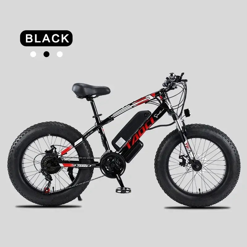 AKEZ 350W Fat Tire Electric Mountain Bike in black with large 20 x 4.0 tires for off-road and urban rides.