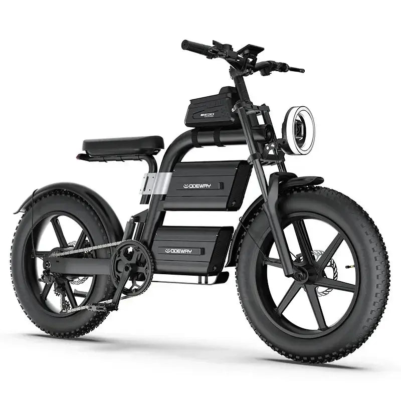 E20 New Design Dual Battery Electric Bike 20 Inch Fat Tire with dual batteries and robust motor for off-road adventures.