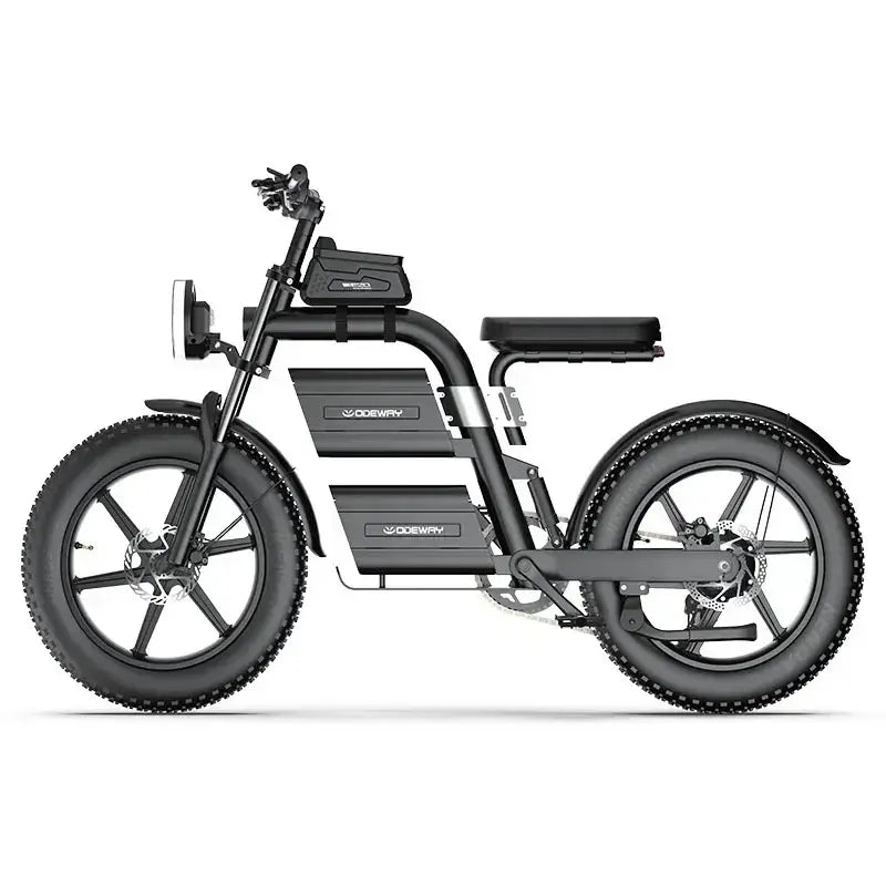 E20 New Design Dual Battery Electric Bike 20 Inch Fat Tire with a robust frame and fat tires for off-road adventures.