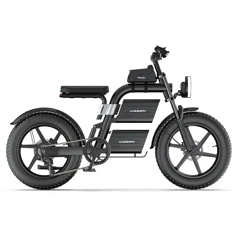 E20 New Design Dual Battery Electric Bike 20 Inch Fat Tire featuring a sleek frame and robust fat tires.